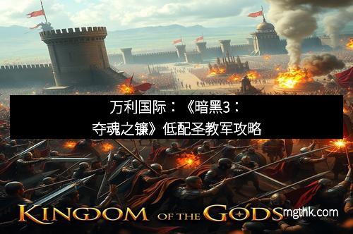 万利国际：《暗黑3：夺魂之镰》低配圣教军攻略